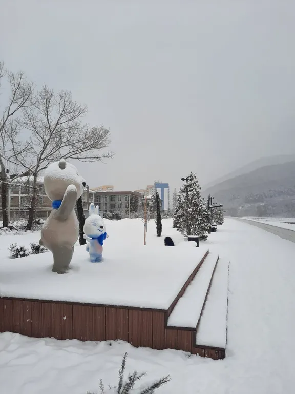 Квартира Комната — Лазаревское