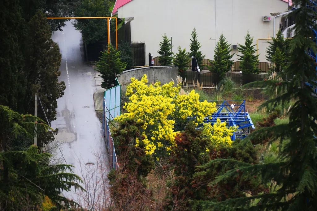 Квартира Апартаменты в центре с видом на море — Сочи