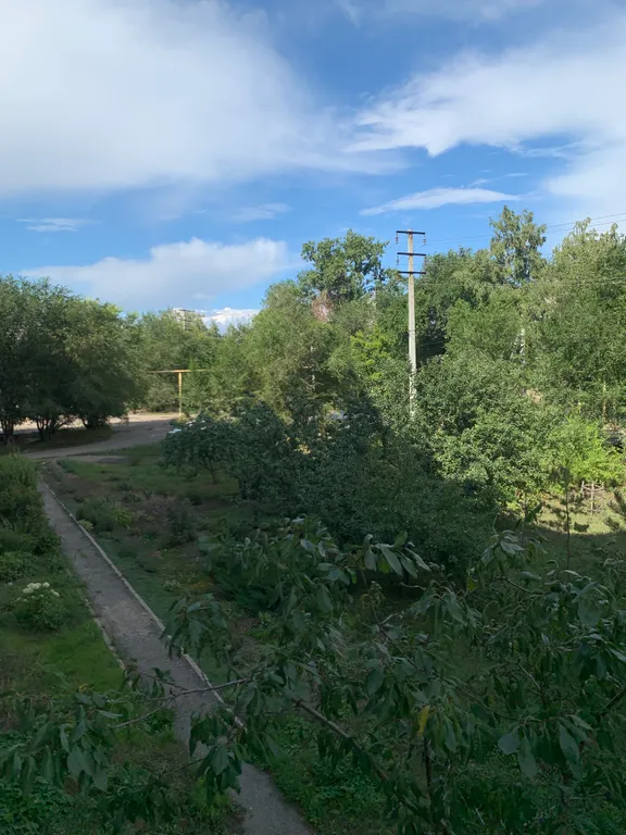 Уютная однокомнатная квартира с новым ремонтом!