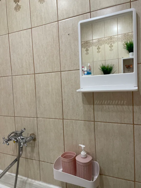 Большая и уютная квартира в Новом Центре