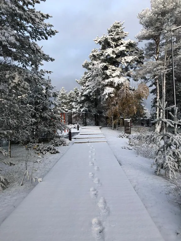 Светлый Мир Внутри