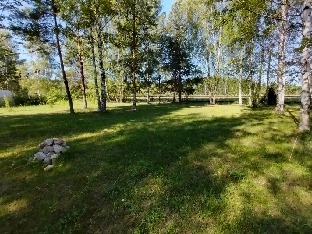 Дом на большом лесном участке