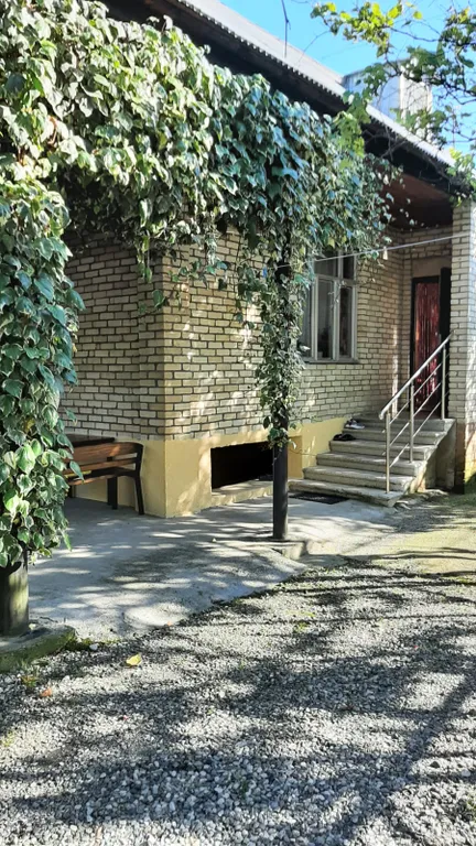 Золотая рыбка