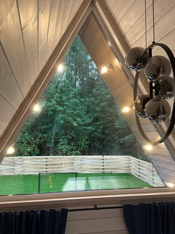 Звезды Леса