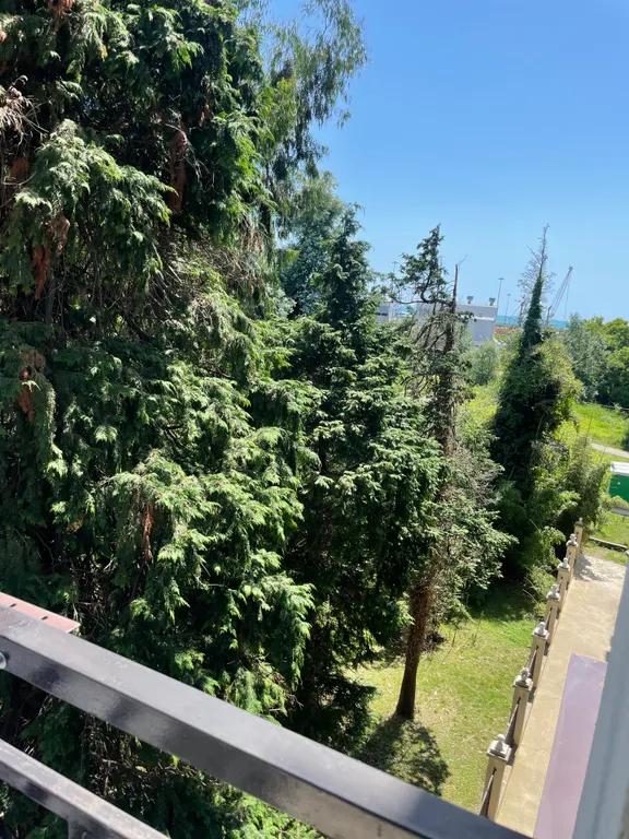 Квартира Квартира-студия в стиле Прованс — Сириус