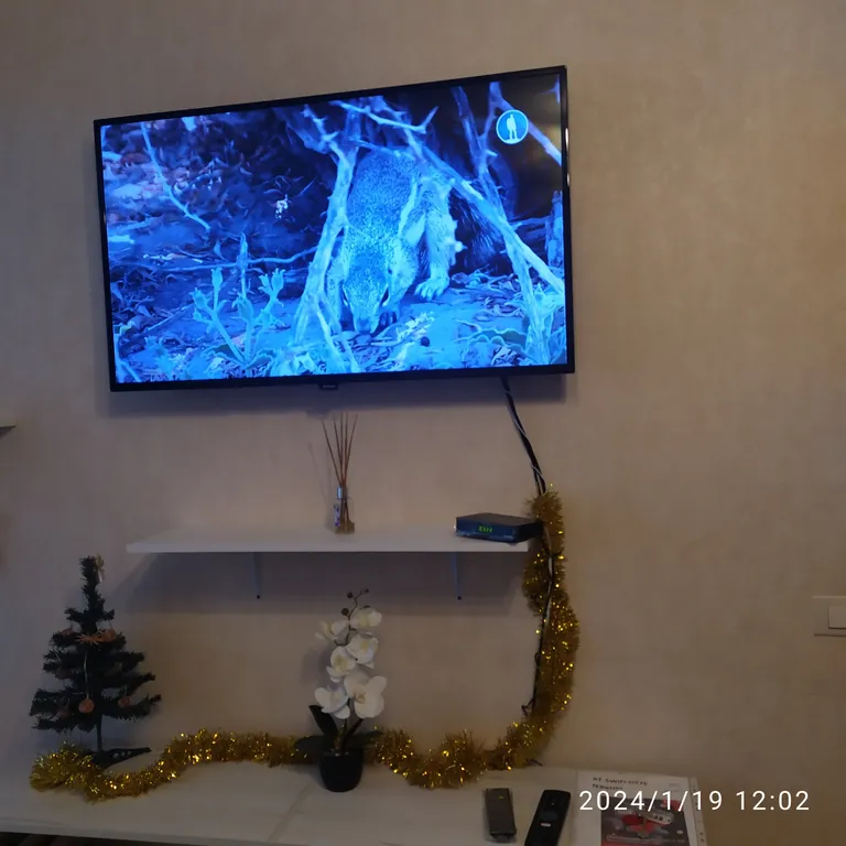 Уютная квартира у парка Победы