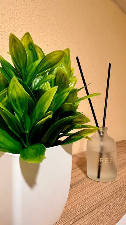 Уютные апартаменты