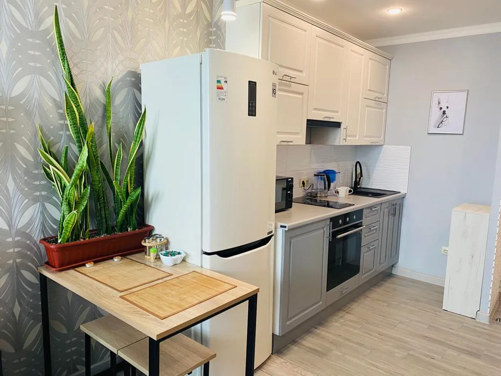 Современная квартира в центре города судобствами