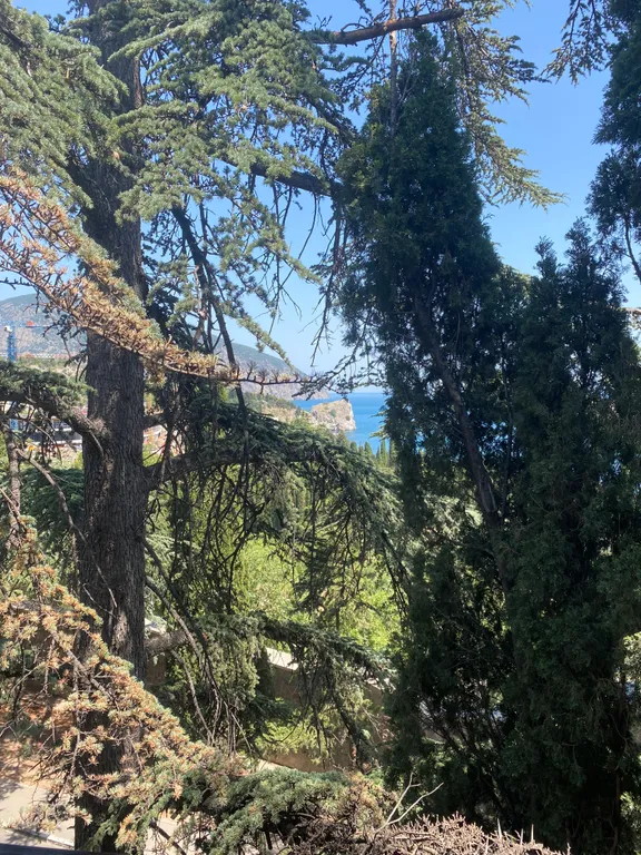 Квартира-студия