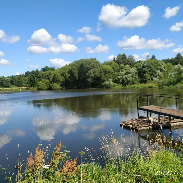 Домик в лесу с собственной горячей купелью 15 минут до центра города