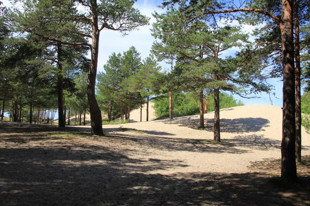 Квартирa рядом со Звёздoчкой