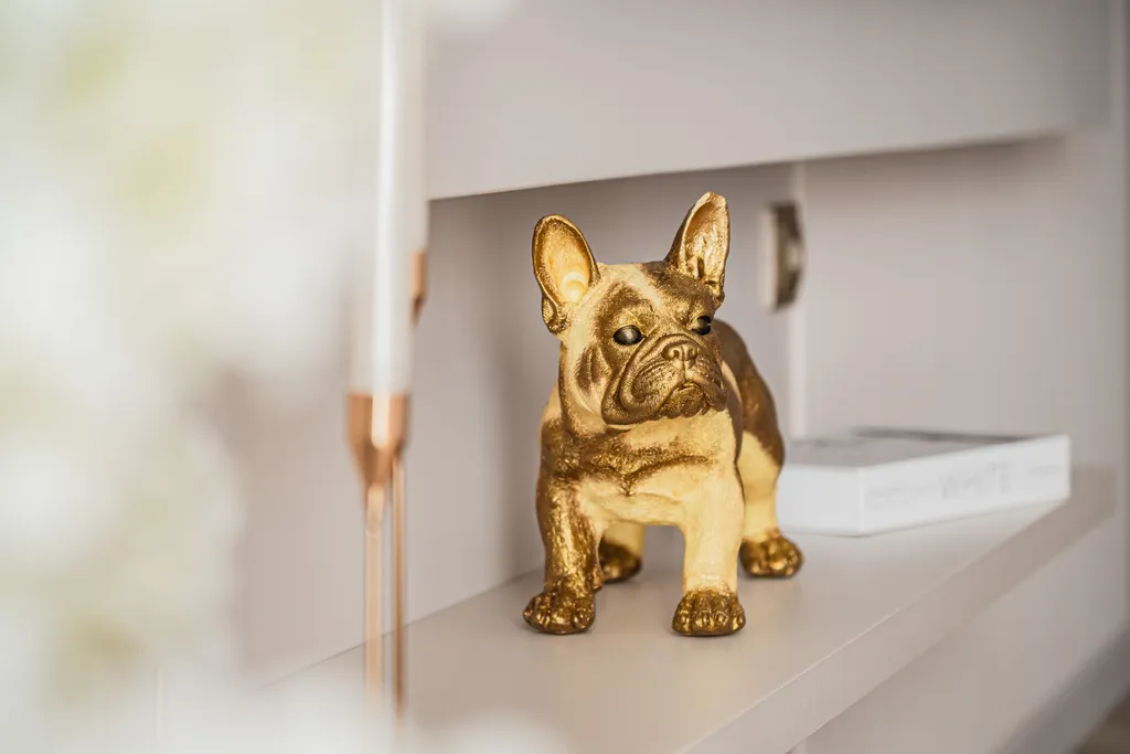 Квартира Квартира Студия с видом на лес в центре — Светлогорск