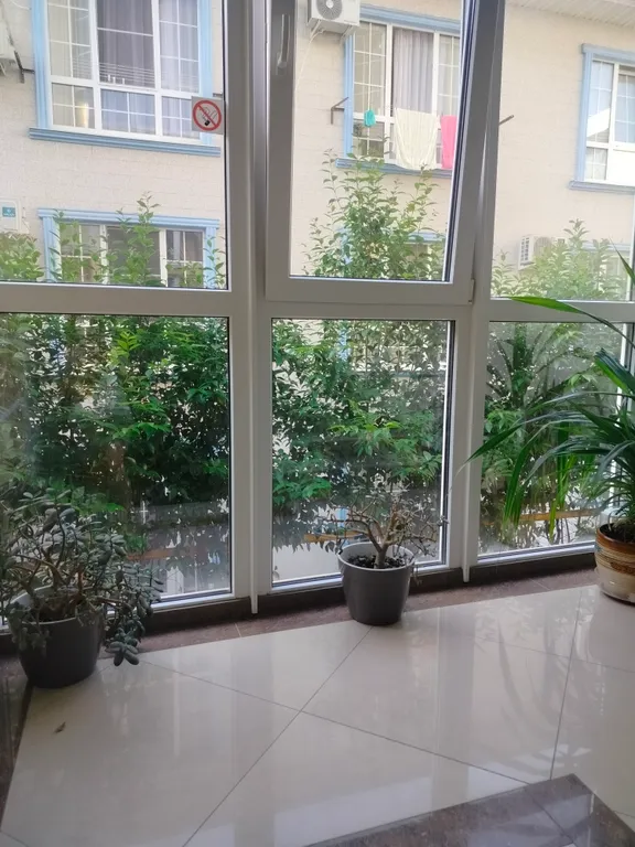 Квартира Квартира Эгина с бассейном — Сочи