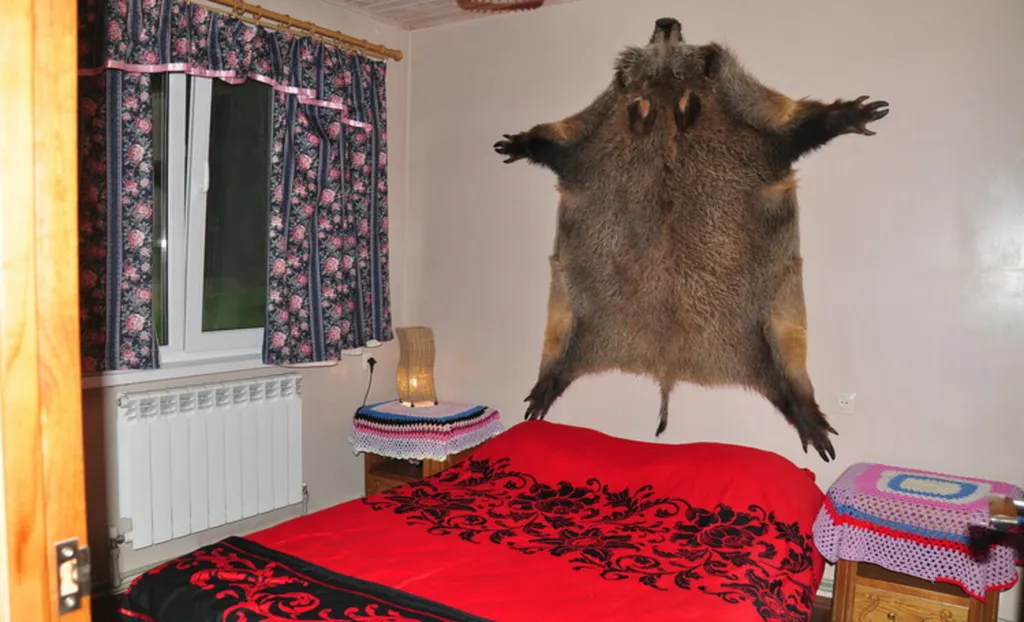 Хутор Избушка на опушке леса, возле реки