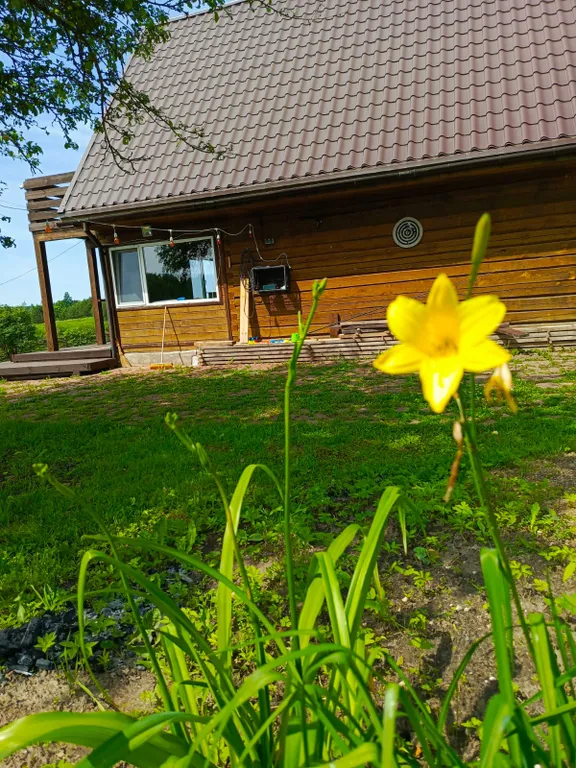 Домик в деревне на берегу реки