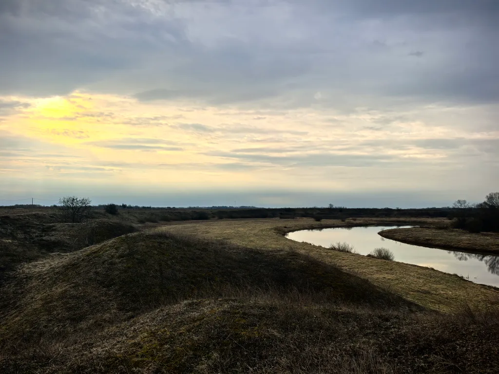 Уютный дом-студия