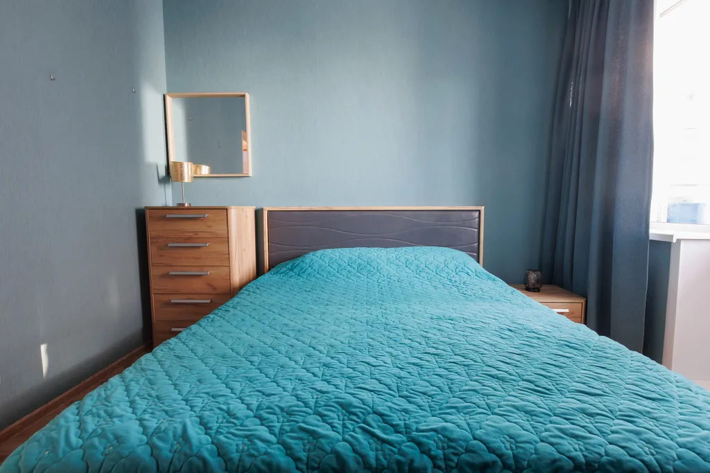 Уютная квартира, Зоопарк