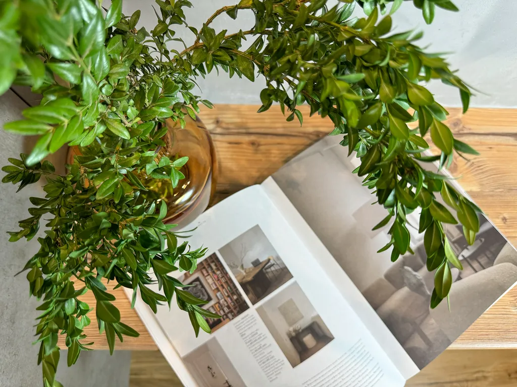 Видовые апартаменты Монстера Лофт в ЖК Сан Хиллс Небуг