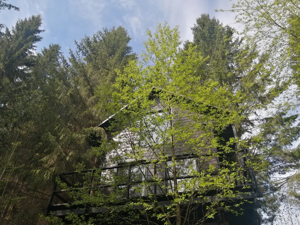 Дом на Опушке