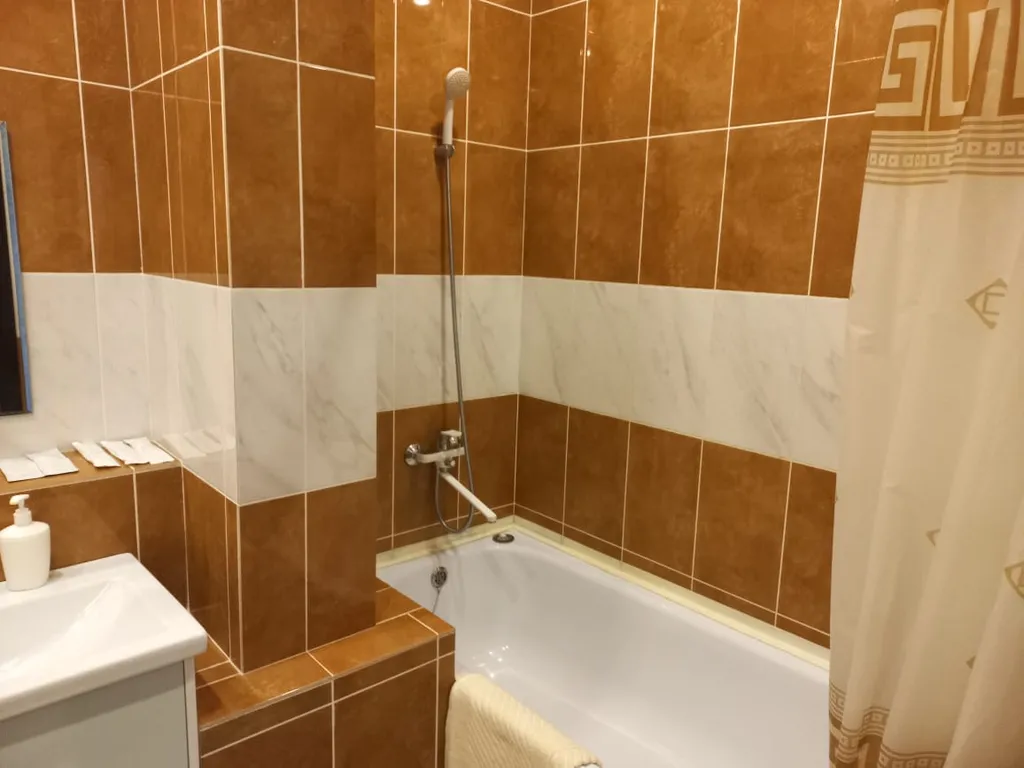 Квартира Квартира Уютная и вместительная Евро2 у СГУПСа — Новосибирск