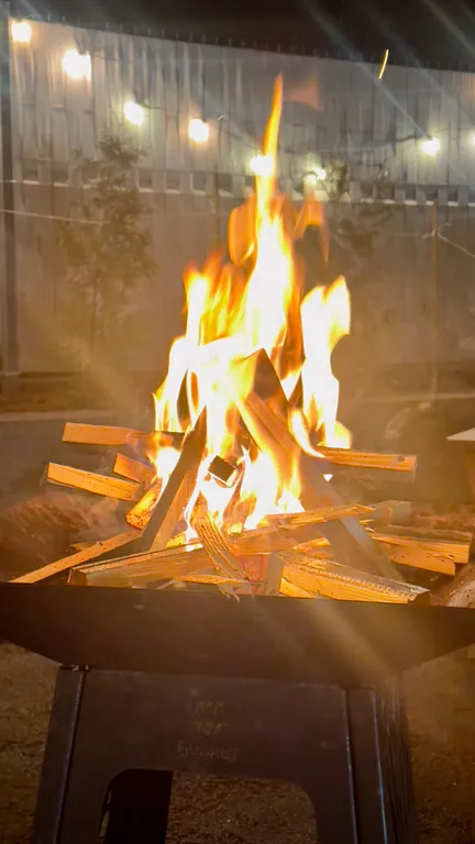 Коттедж Уютный загородный дом у живописного озера, с шикарной новогодней елкой — Санкт-Петербург