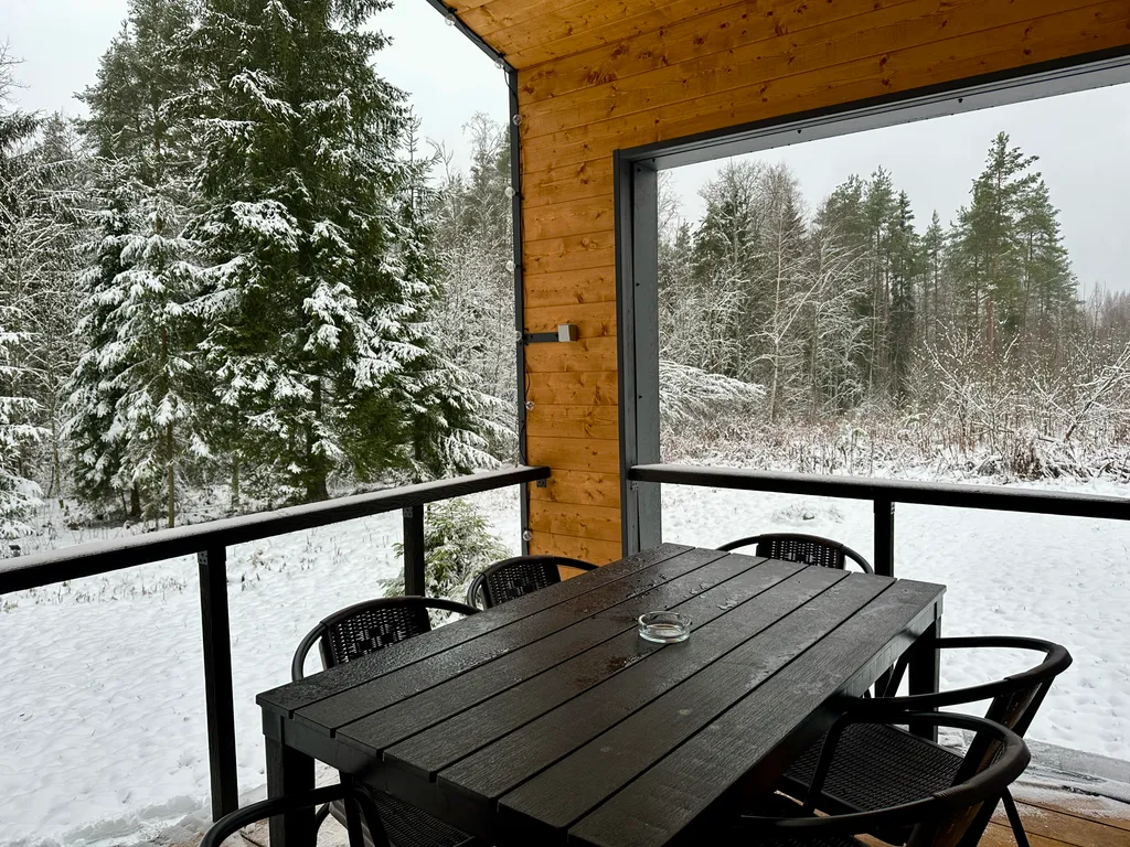 Дом с панорамными окнами в лес