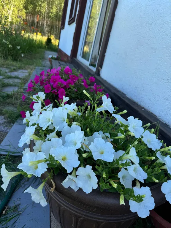 Гостевой домик дубровка