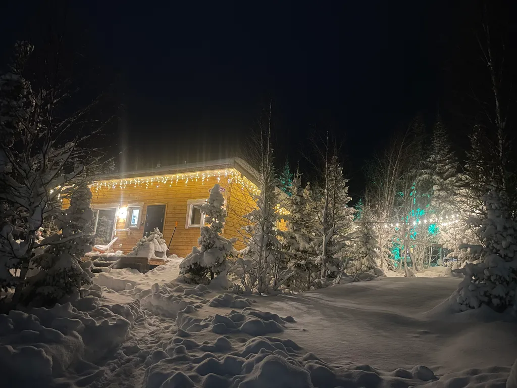 Дом с камином и сауной