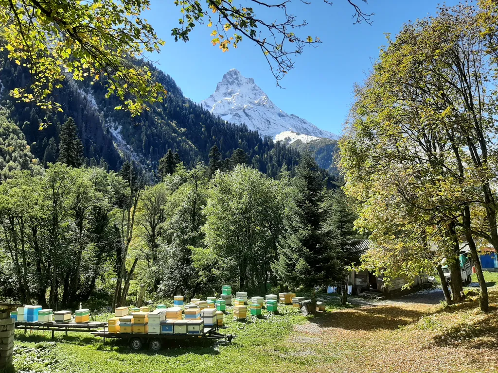 Уютный домик