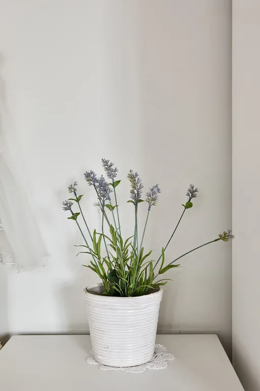 Уютная студия Бохо