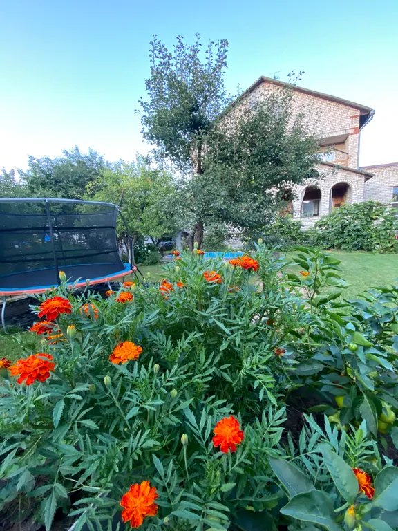 Дом в пригороде Минска