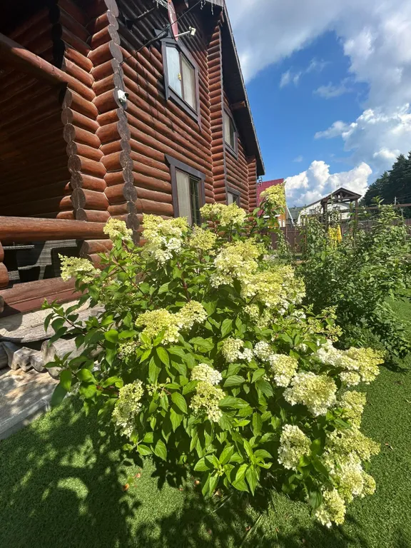 Загородный дом в окружении леса Grovehause