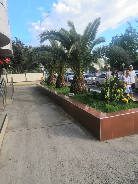 Квартира 1-комнатная Квартира — Адлер