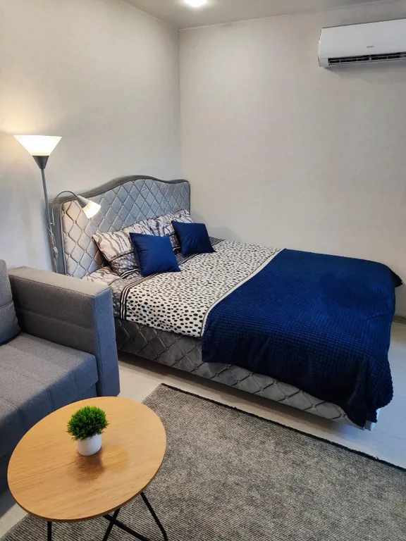 Современная, комфортная квартира-студия в светлых тонах — аренда посуточно в Могилёв