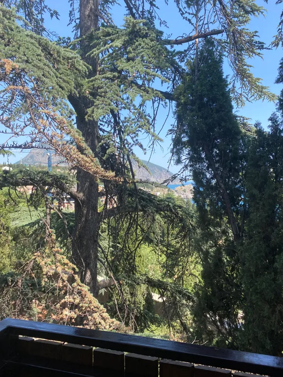 Квартира-студия