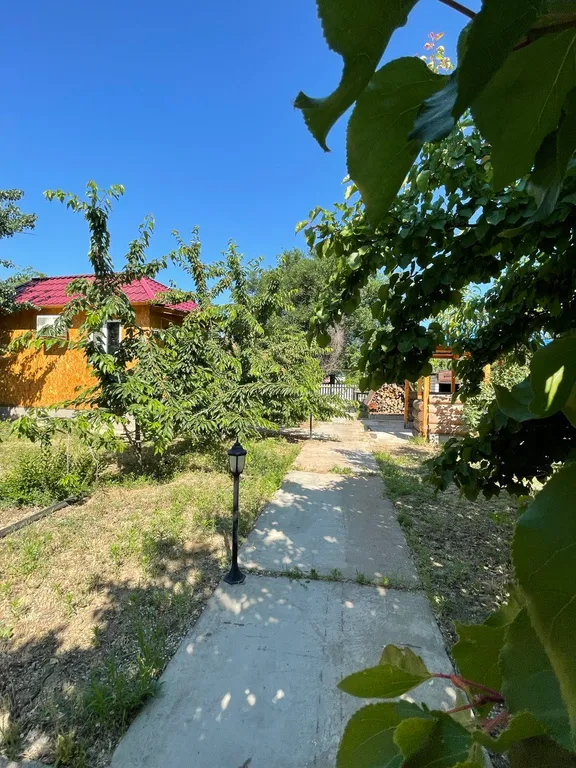 Рыболовная база Хижина рыбака Аргунка