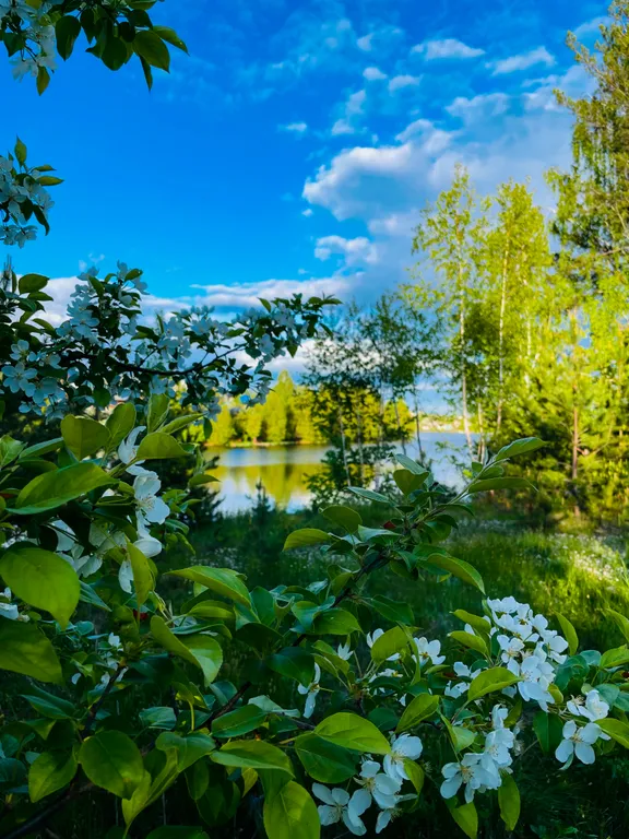 Номер с панорамными окнами и видом на озеро