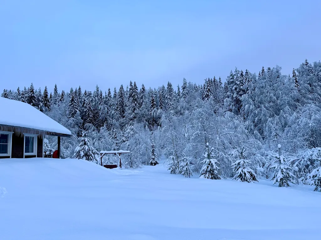 Коттедж с 3 спальнями, сауной, с видом на лес