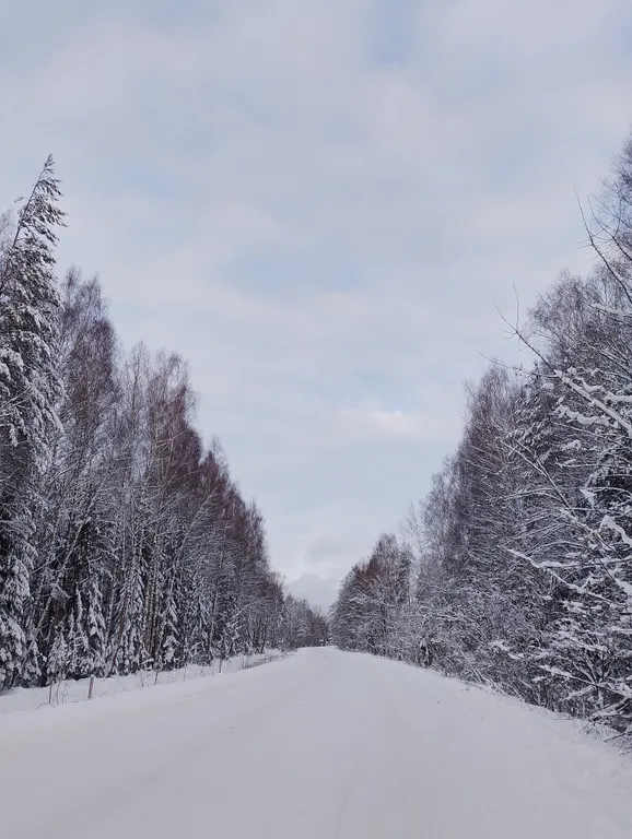 Уютный Дом с Камином в сосновом лесу 15 мин от Твери и 50 мин от МКАДа