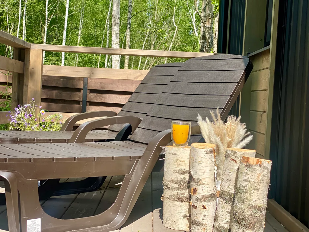 Коттедж Домик в лесу с сауной и купелью — Гжель