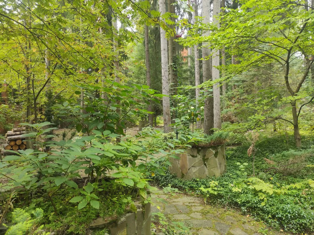 Коттедж Дом с тропическим бассейном, сауной и каминами — Московский