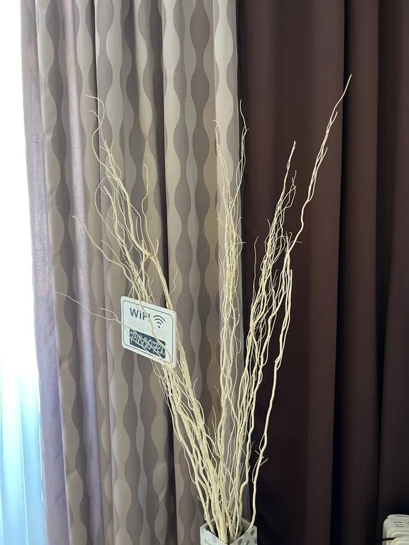 Квартира Квартира Уютный апартамент в центре Alt-platz santori — Светлогорск