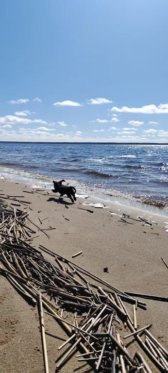 Уютный дом в сердце курорта Коприно
