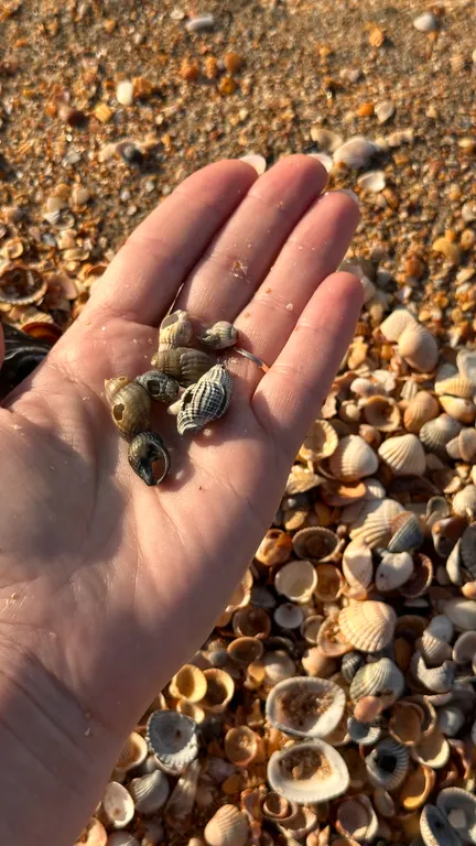 Благоустроенная комната в коттедже с двумя балконами и видом на море.