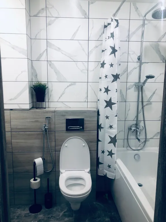 Отличная квартира-студия серый кот