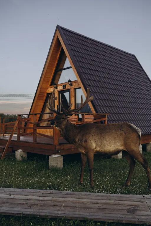 1-комнатная Квартира — аренда посуточно в Аршан