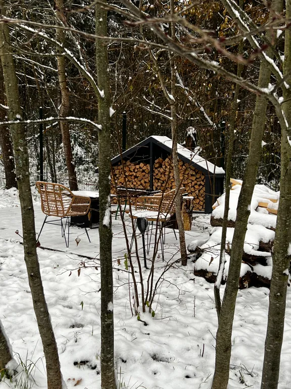 Дом Немо с уличной купелью  в лесу