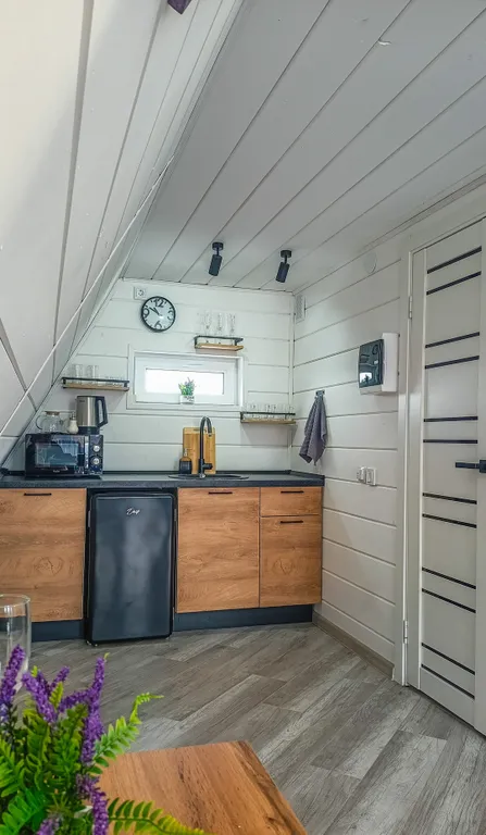 Стильный дом рядом с лесом