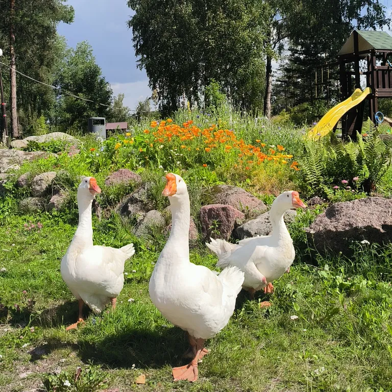 Дом на скале с панорамным видом на озеро