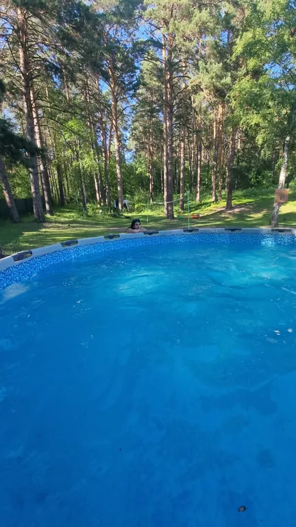 Уютный Дом в Лесу в Аникино